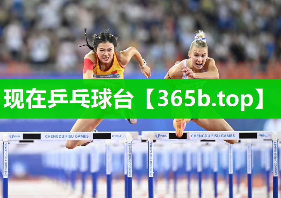 现在乒乓球台 现在乒乓球台