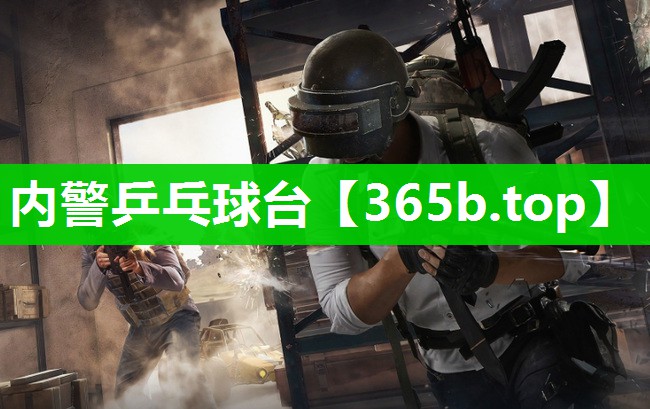 内警乒乓球台 内警乒乓球台