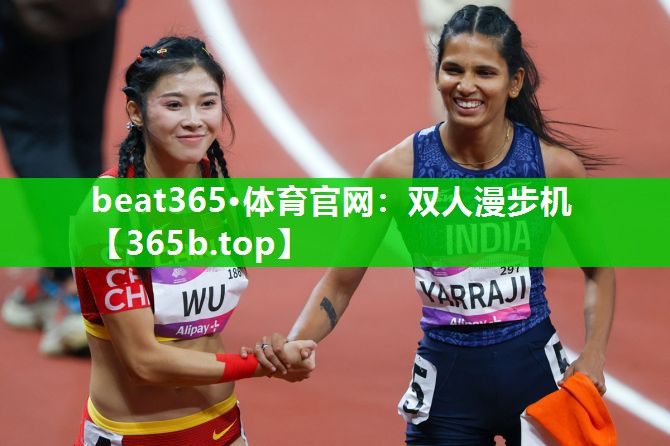 双人漫步机 双人漫步机