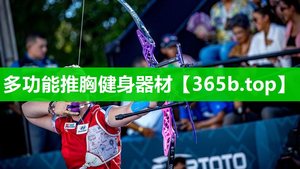 多功能推胸健身器材 多功能推胸健身器材
