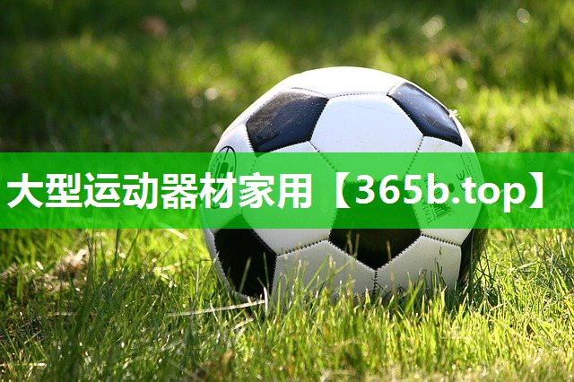 大型运动器材家用 大型运动器材家用