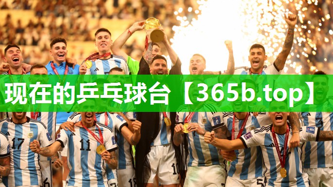 现在的乒乓球台 现在的乒乓球台