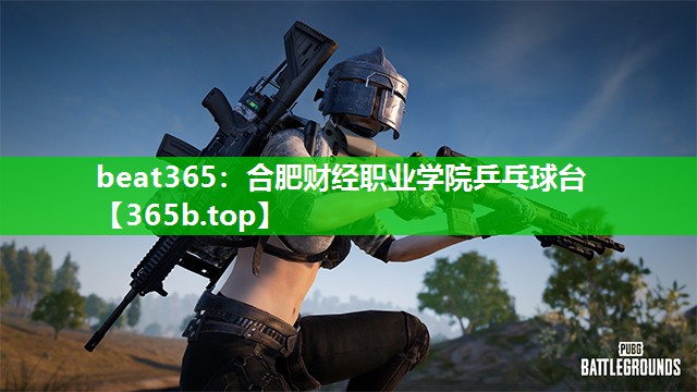 合肥财经职业学院乒乓球台